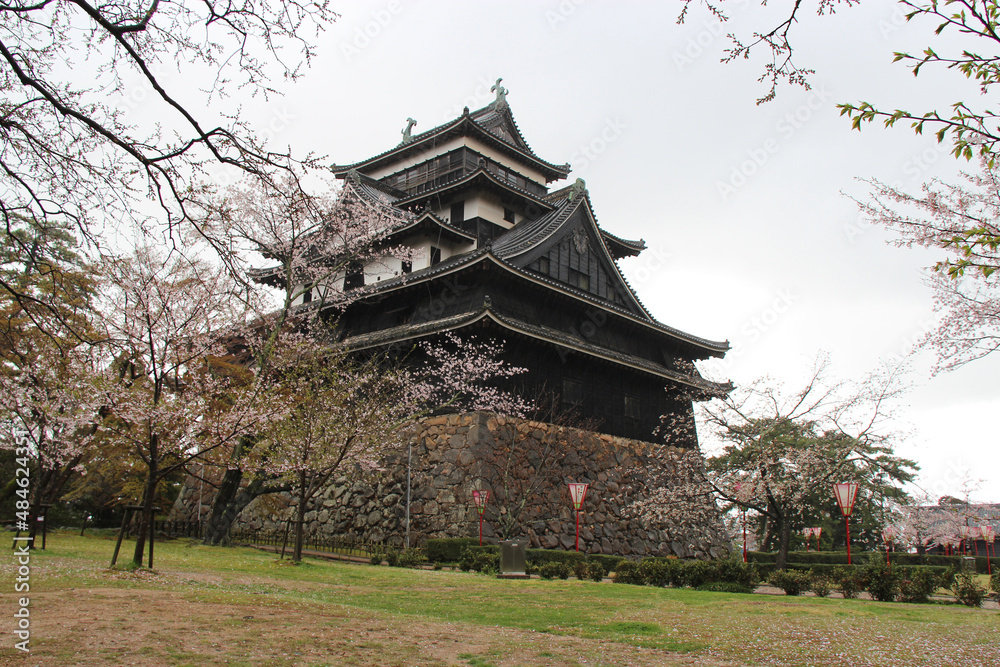 castle in matsue (japan) castle in matsue (japan)