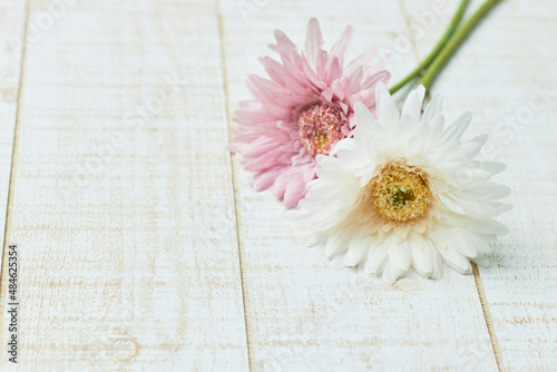 白とピンクのガーベラの造花