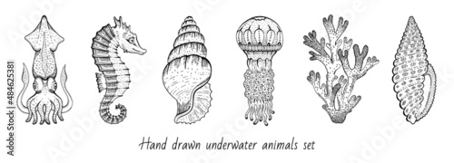 Sea animal icon set. Coral, sea horse, squid, shell, jellyfish sketch graphic elements. Trendy underwater collection. Black line engraved style. Cool hand drawing vector illustration isolated on white