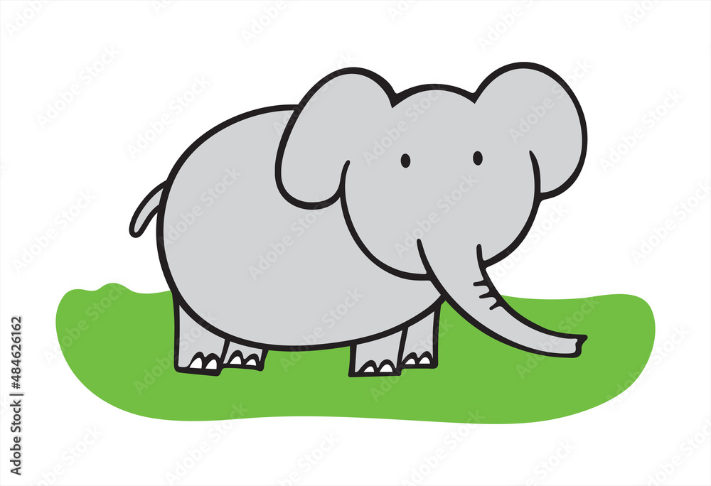 Fototapeta premium Elephant