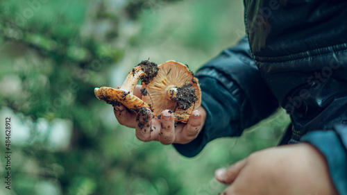 mushroom in hand, Find a mushroom