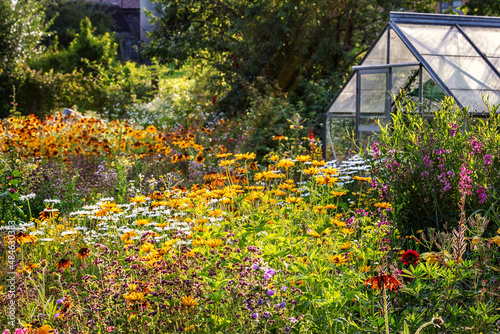 Blumengarten im Sonnenschein mit Gewächshaus, Flowering Garden and a Greenhouse