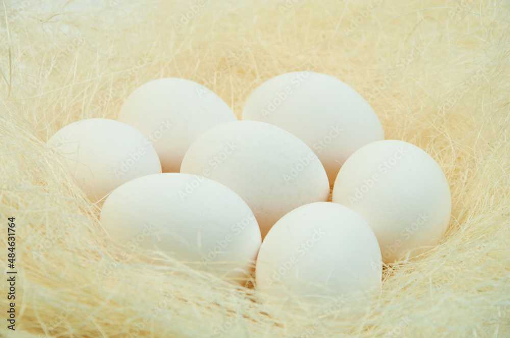 chicken eggs in the nest. agriculture concept.