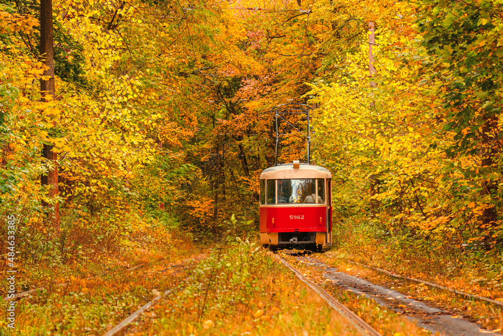 Obraz premium Autumn forest through which an old tram rides (Ukraine)