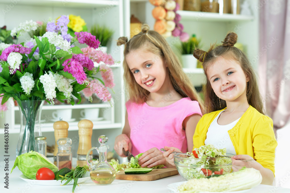 Cute girls preparing delicious fresh salad Cute girls preparing delicious fresh salad