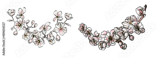 Decorative bundle of watercolor corner, pastel pink illustration of blossom brunch. Romantic floral decorative element for card, isolated on white background. Flower composition for wedding. © Daria