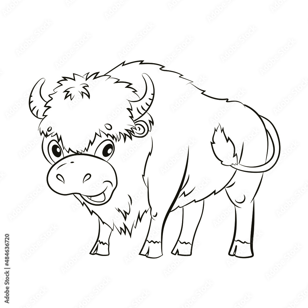 Black white buffalo image. Linear drawing, coloring for children.