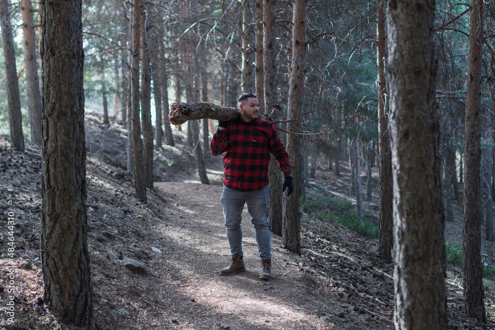 Obraz premium man in plaid shirt picking up a large log in the forest