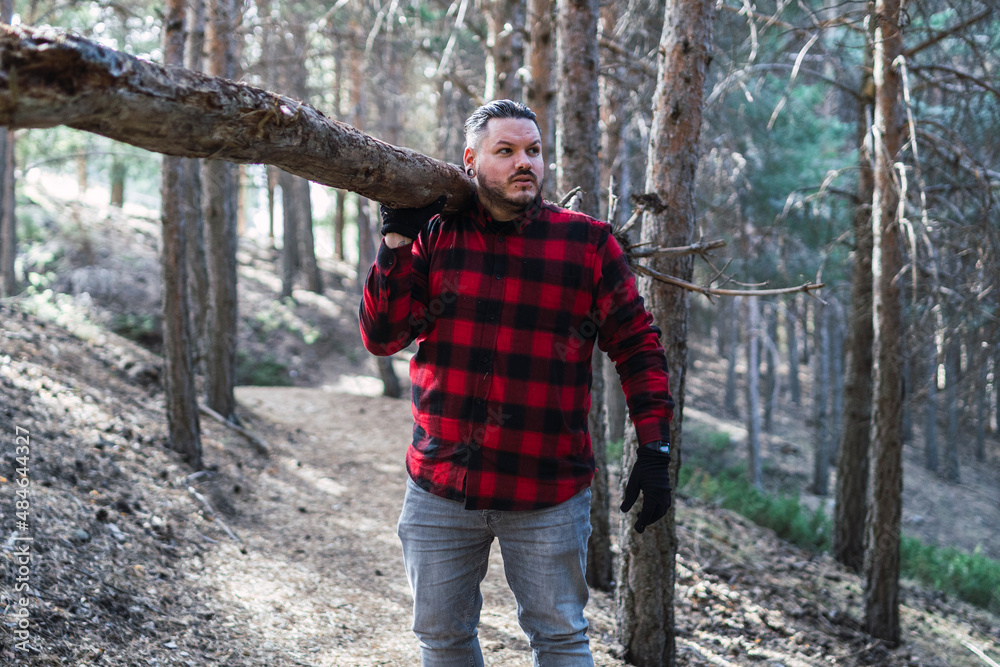 lumberjack in the forest, man taking a tree in the forest, lumberjack in the forest, man taking a tree in the forest,