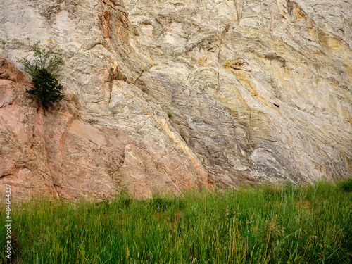 Lush meadow and Red and orange sandstone cliffs in late afternoon light in Garden of the Gods Colorado Springs photo