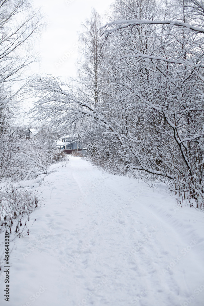 Obraz premium snow covered road