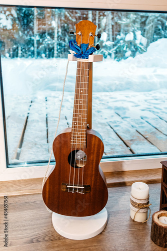 Ukulele by the window overlooking the forest in winter