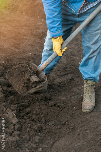 A worker in yellow gloves and jeans digs the ground in the garden with a shovel. The concept of agriculture