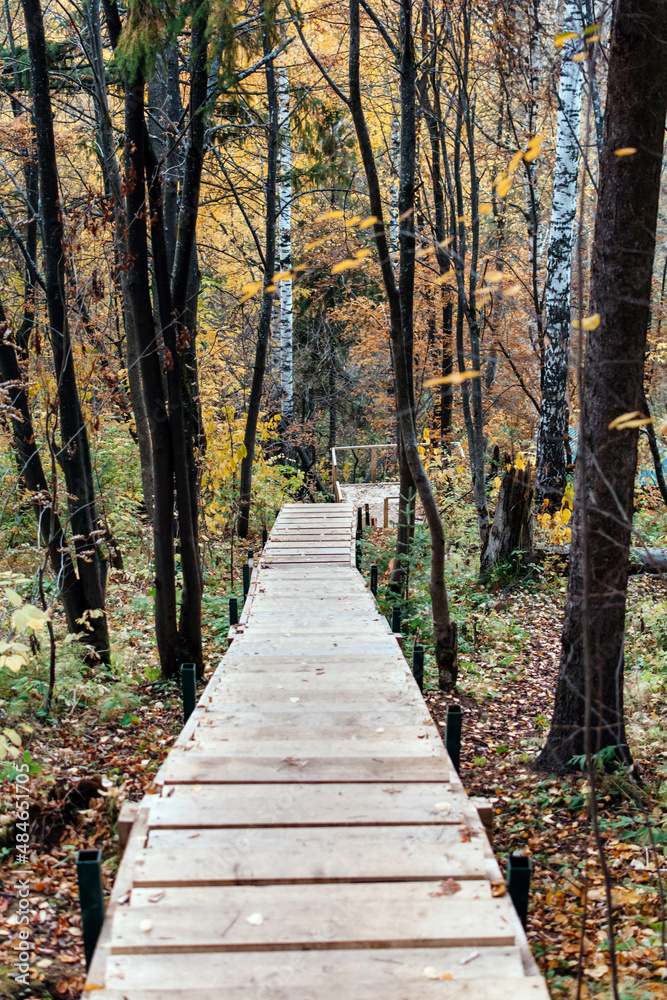 Wooden stairs down in the autumn forest Wooden stairs down in the autumn forest