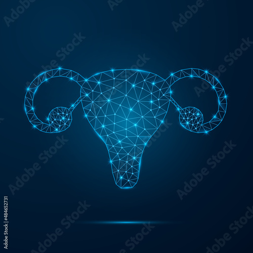 Female reproductive system with low poly glowing connected dots. Futuristic internal organ with triangular blue shapes. Vector isolated on dark blue background.