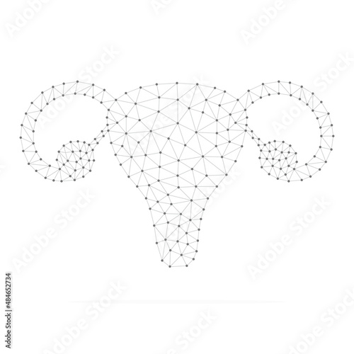 Female reproductive system with low poly black connected dots. Internal organ with triangular linear shapes. Vector isolated on white background.