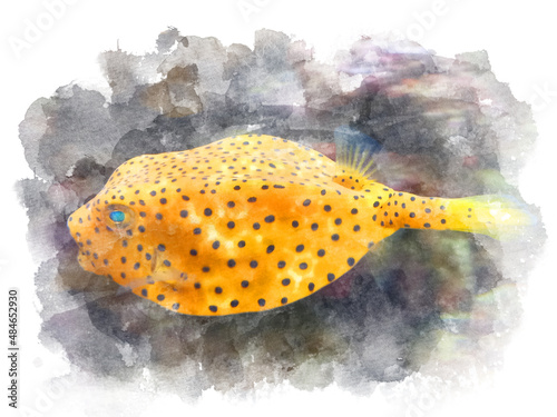 Yellow box fish. Coral reef fauna. Watercolor illustration. photo