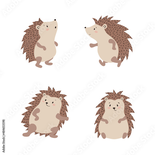 Set of cute cartoon hedgehogs isolate on white background. Vector illustration.