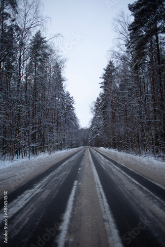 road in winter forest