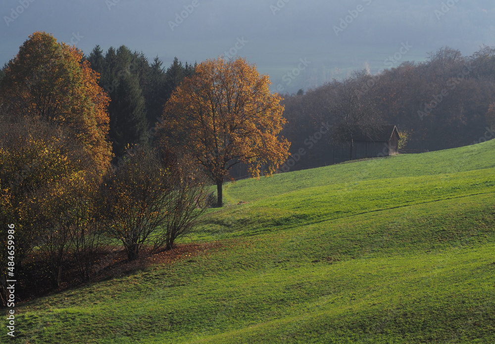 Herbstliche Wiese mit Hütte bei Nenningen, Schwäbische Alb