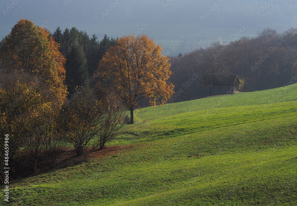 Herbstliche Wiese mit Hütte bei Nenningen, Schwäbische Alb Herbstliche Wiese mit Hütte bei Nenningen, Schwäbische Alb
