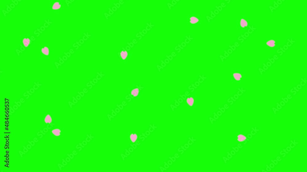 舞い散る桜のアニメーション グリーンバック 舞い散る桜のアニメーション グリーンバック