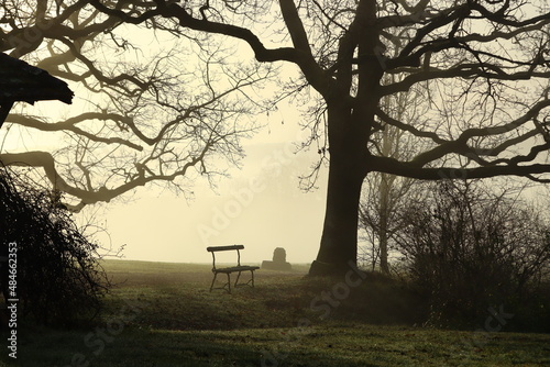 Banc en bois près d'un chêne centenaire situé dans un parc enveloppé de brume au soleil levant photo