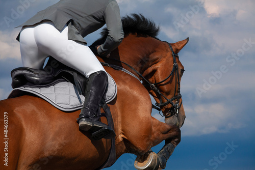A rider on horseback jumping on blue sky background. Sportsman on bay horse jumping on nature background. © Alexia Khruscheva