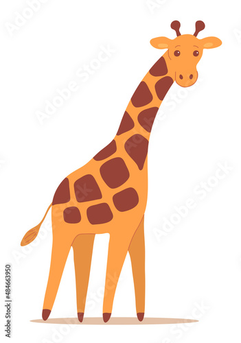 Cartoon giraffe on a white background. African herbivore. Zoo and safari. Vector isolated baby illustration