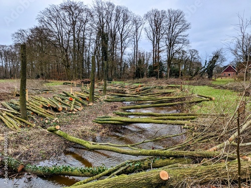 Fototapeta Naklejka Na Ścianę i Meble -  wooden fence Dutch 