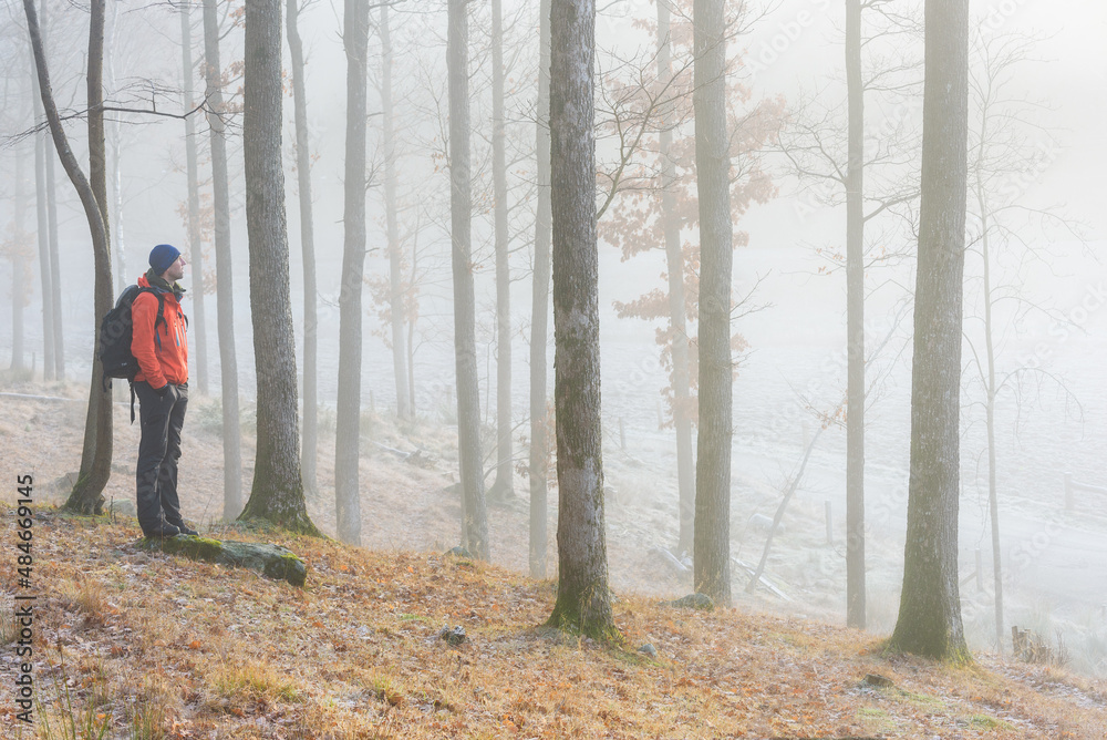 Fototapeta premium Man standing in misty forest
