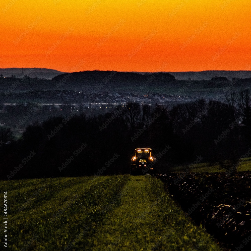 Fototapeta premium sunrise over the field