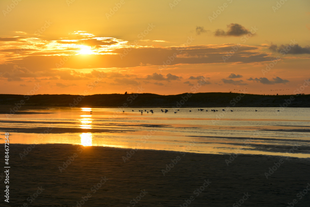 Sunset at low tide over the sea with beach and seagulls