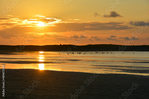 Sunset at low tide over the sea with beach and seagulls