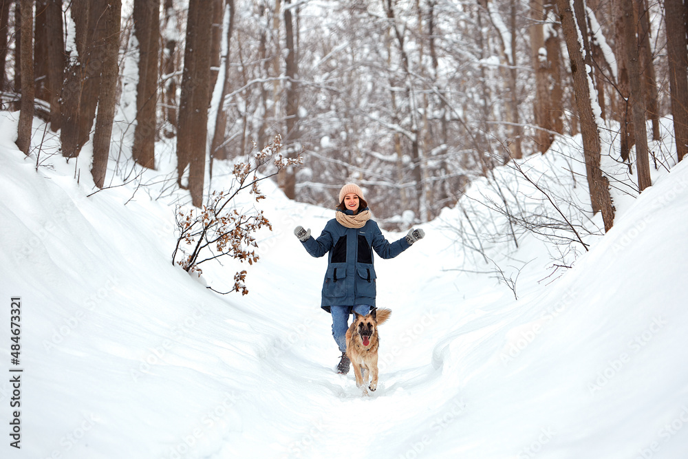 The dog walks in the winter in nature with its owner. They train and play.  