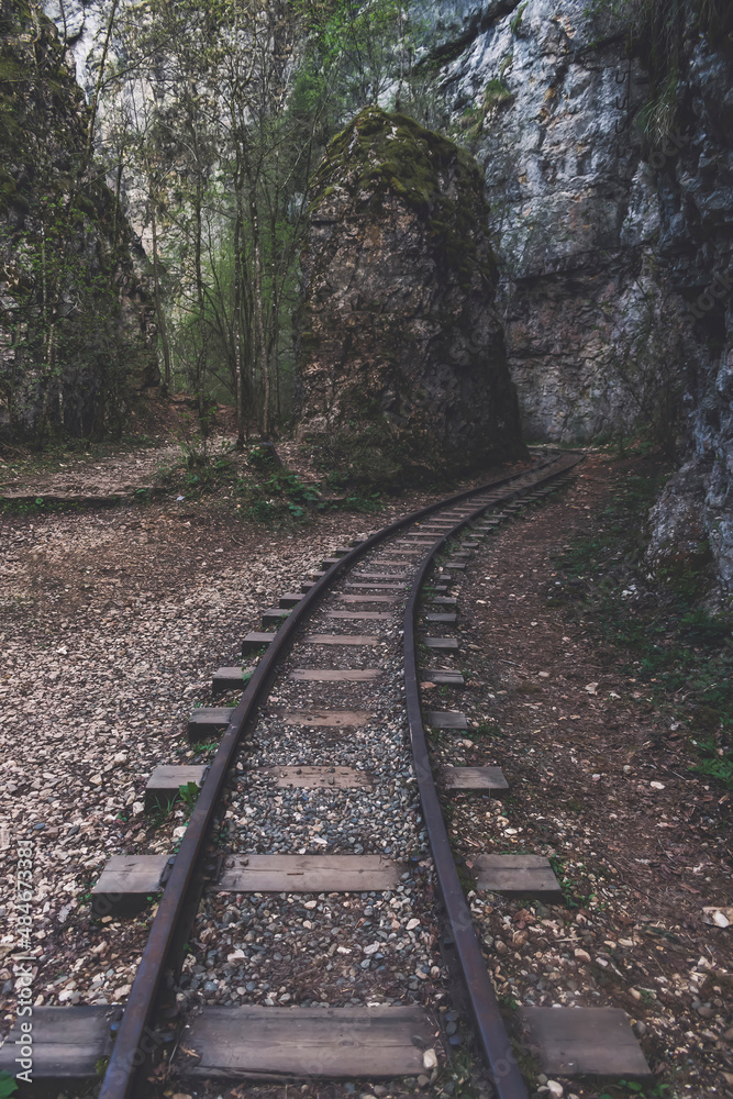 Fototapeta premium A railroad track leading into the forest. Narrow gauge railway in the guam gorge.