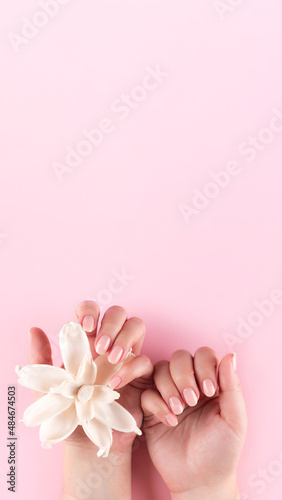 Female hands with beautiful natural manicure - pink nude nails with white dried flower on pink background with copy space. Nail care concept