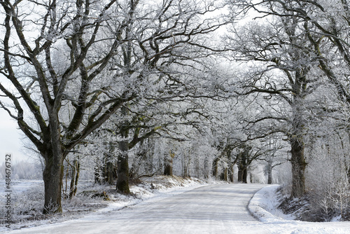 Beautiful snowy road in the forest in winter. Weather forecast for a snowy winter with heavy precipitation.