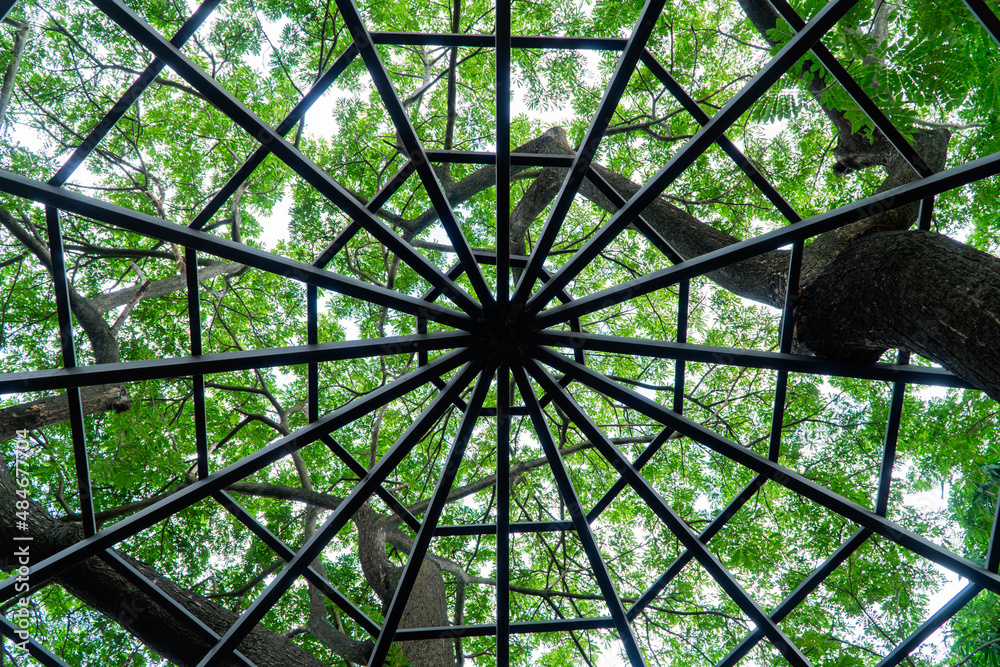 black steel in the line of hexagon shape with background of green small leaf of big tree as background