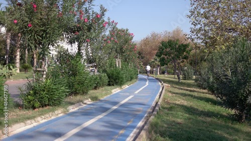 Wallpaper Mural Bike path on the embankment of resort city. Beautiful park with green plants. Torontodigital.ca