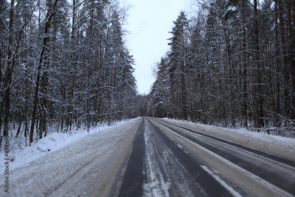 road in winter road in winter