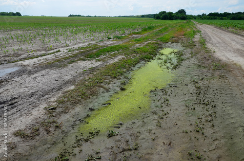 Residues of chemicals in puddles after treatment of fields with herbicides. photo