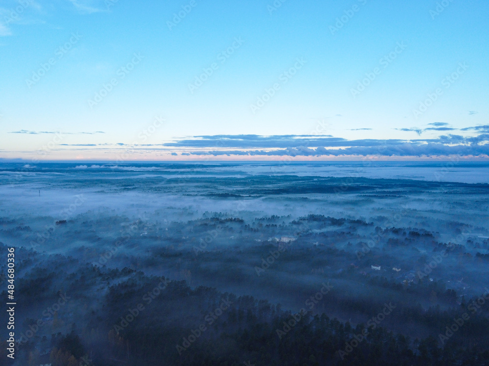 Sky morning forest in fog drone pictures