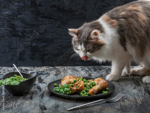 Fototapeta Naklejka Na Ścianę i Meble -  A fluffy cat climbed onto the breakfast table with chicken shanks and green