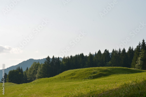 Green, idyllic landscape in the Alps with lush meadows