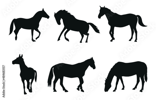 Six silhouettes of a horse  running  standing  chewing grass  trot