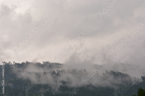 Fog rises from the dark forest after a summer rain