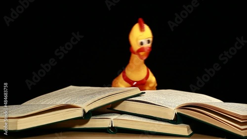 footage of rubber chicken book dark background photo