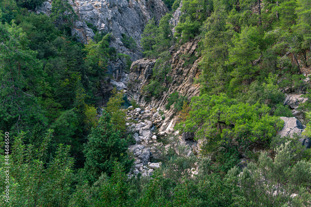 Fototapeta premium wooded mountain canyon with a stream in a rocky bed, top view