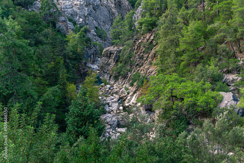 wooded mountain canyon with a stream in a rocky bed, top view